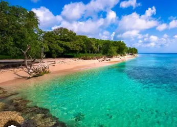 A photorealistic image showing participants at a beach event engaging in a fun, educational game about marine conservation. The game involves identifying different types of coral and learning about the threats they face. The scene is set on a beautiful beach with crystal-clear water. The lighting is bright and cheerful, highlighting the fun and engaging nature of the activity. Style: Educational and engaging photography with a focus on capturing the joy of learning. Technical specs: 4K resolution, vibrant color palette, dynamic composition.