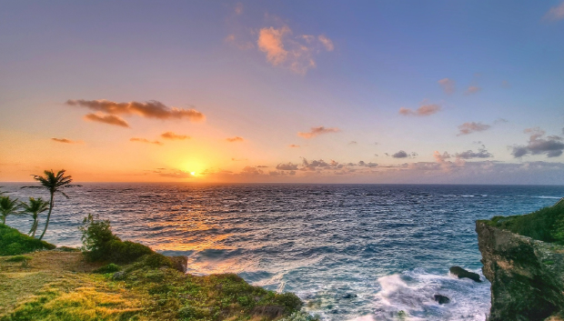A photorealistic image showcasing a beautifully decorated beach event setup in Barbados. Tables are adorned with local flowers and crafts, and the scene is bathed in warm, inviting light. Focus on the elegant details and the seamless integration of Bajan culture. Style: Event photography with a focus on showcasing the beauty and elegance of beach events. Technical specs: 4K resolution, shallow depth of field, warm color grading.
